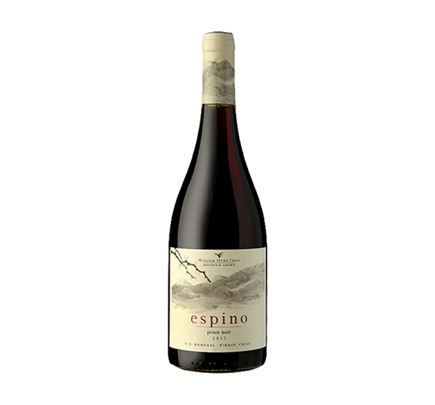 WILLIAM FÈVRE "Espino" - Pinot Noir - Casablanca Valley - Aconcagua Valley - Chile