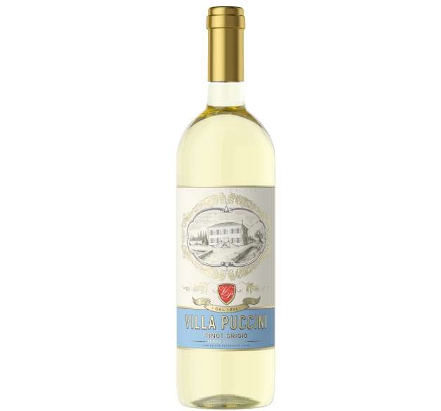 VILLA PUCCINI - Pinot Grigio - Terre Siciliane IGT, Sicily - Italy